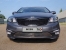 Решетка радиатора нижняя (лист) Kia Rio 2015 KIARIO15-01